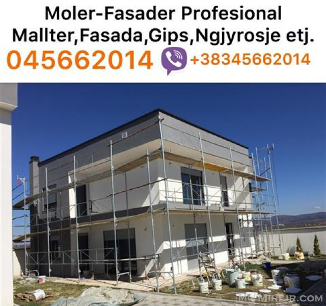 Moler/Fasader Profesional 045662014