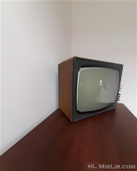 Tv i vogel 1960