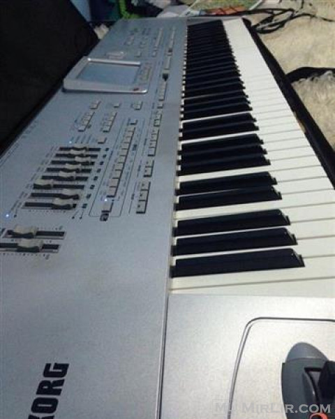 Shes KORG pa 1x