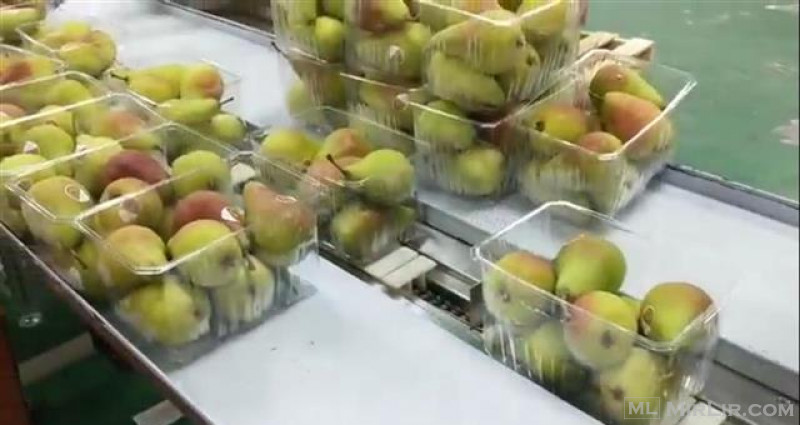 Paketus fruta në tas