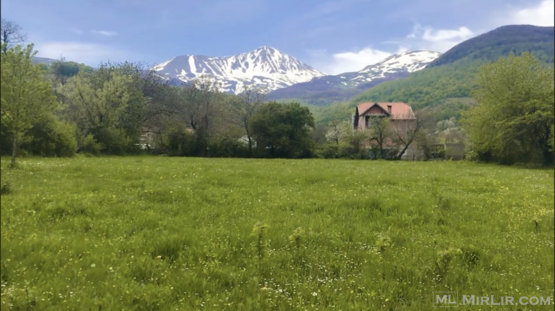 Factorial-Shiten 1 hektar tokë në Fshatin Firajë 14 km afër me Brezovicë 