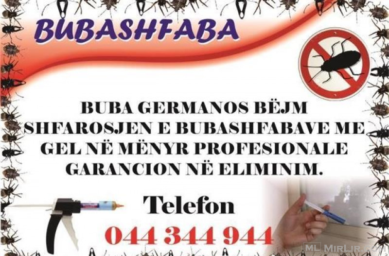 Bubashfaba 