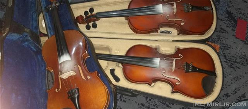 Violinat