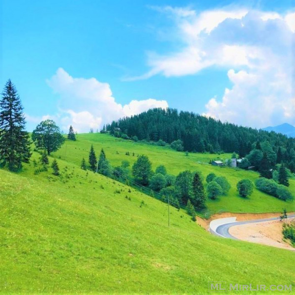 Shitet  30 ari tokë, Shtupeq i Madh, Rugovë