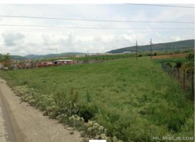 Shiten 1 hektarë tokë, në fshatin Prugovc