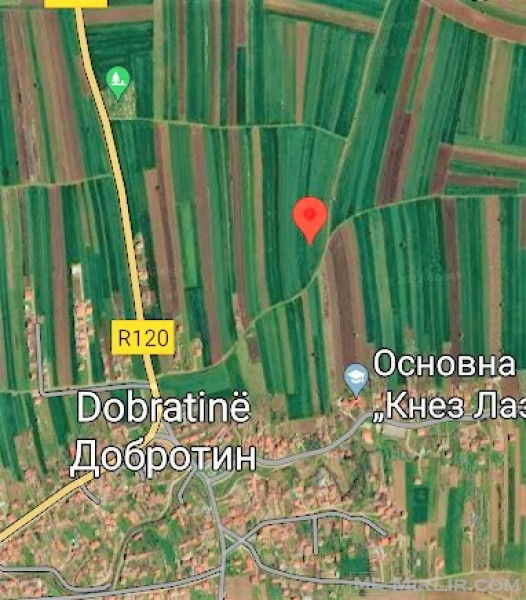 Shiten 2 hektar 20 ari toke afër rrugës Dobratin-Gushteric