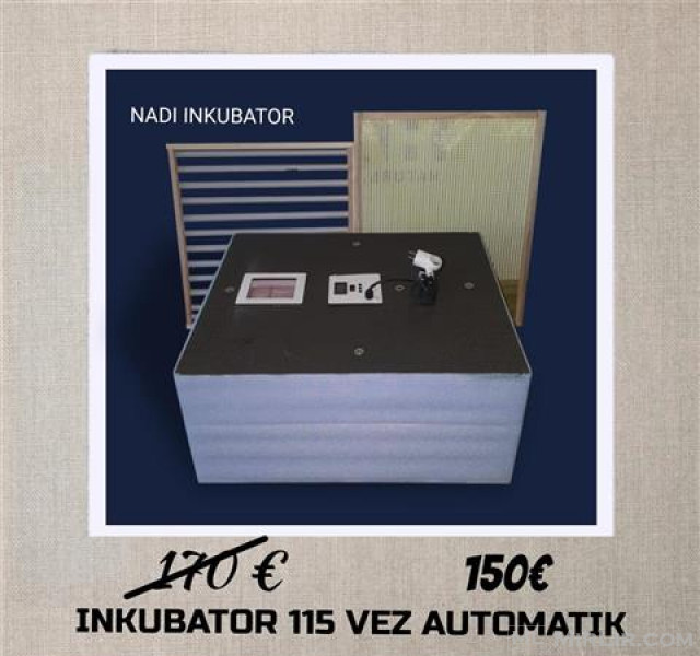 inkubator 115 veze automatik