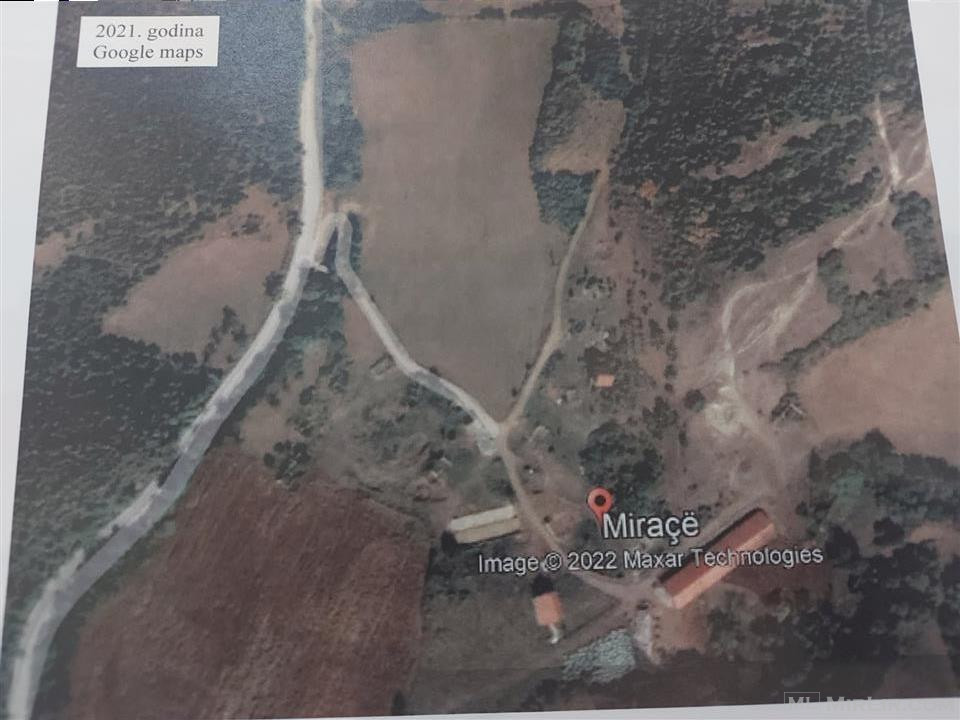 55.Shiten 5.6 hektare toke ne Miroce te Vushtrris
