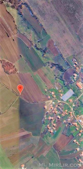 Shiten 1 hektar e 35 ari Tokë në Gracë, Komuna e Vushtrris