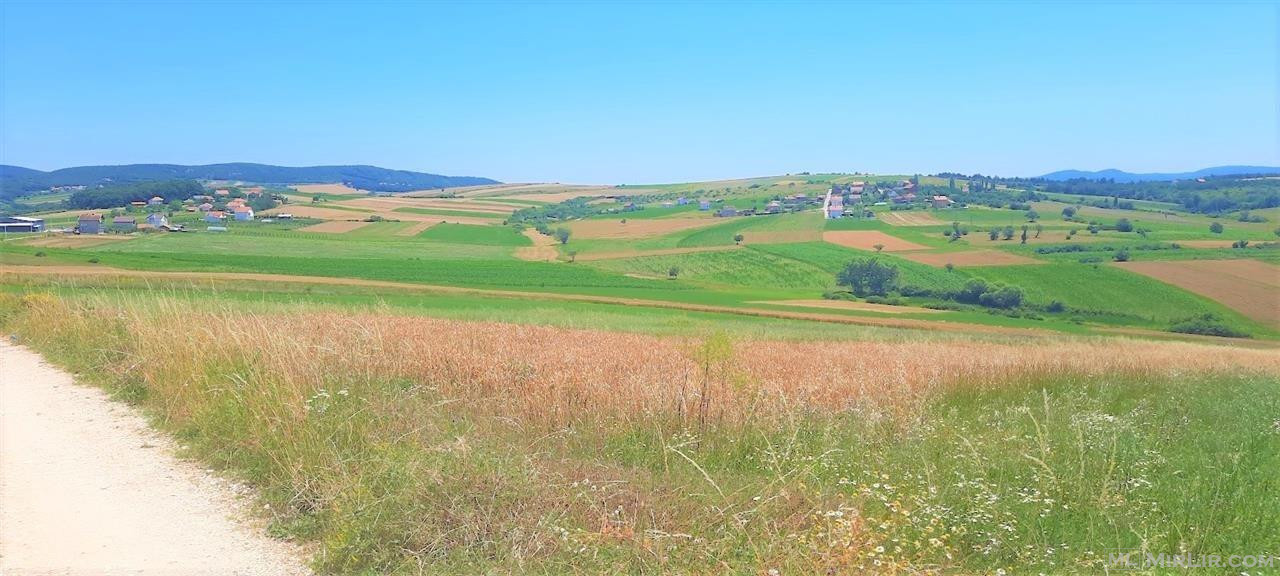 Shiten 8 hektar e 14 ari Tokë në Breznice, Komuna e Obiliqit