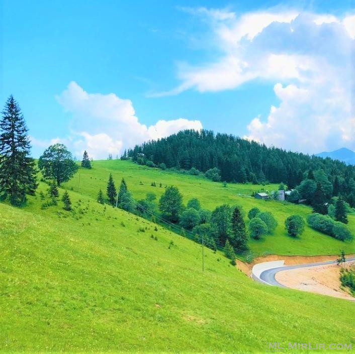 Shitet 1.15 hektarë tokë, Shtupeq i Madh, Rugovë