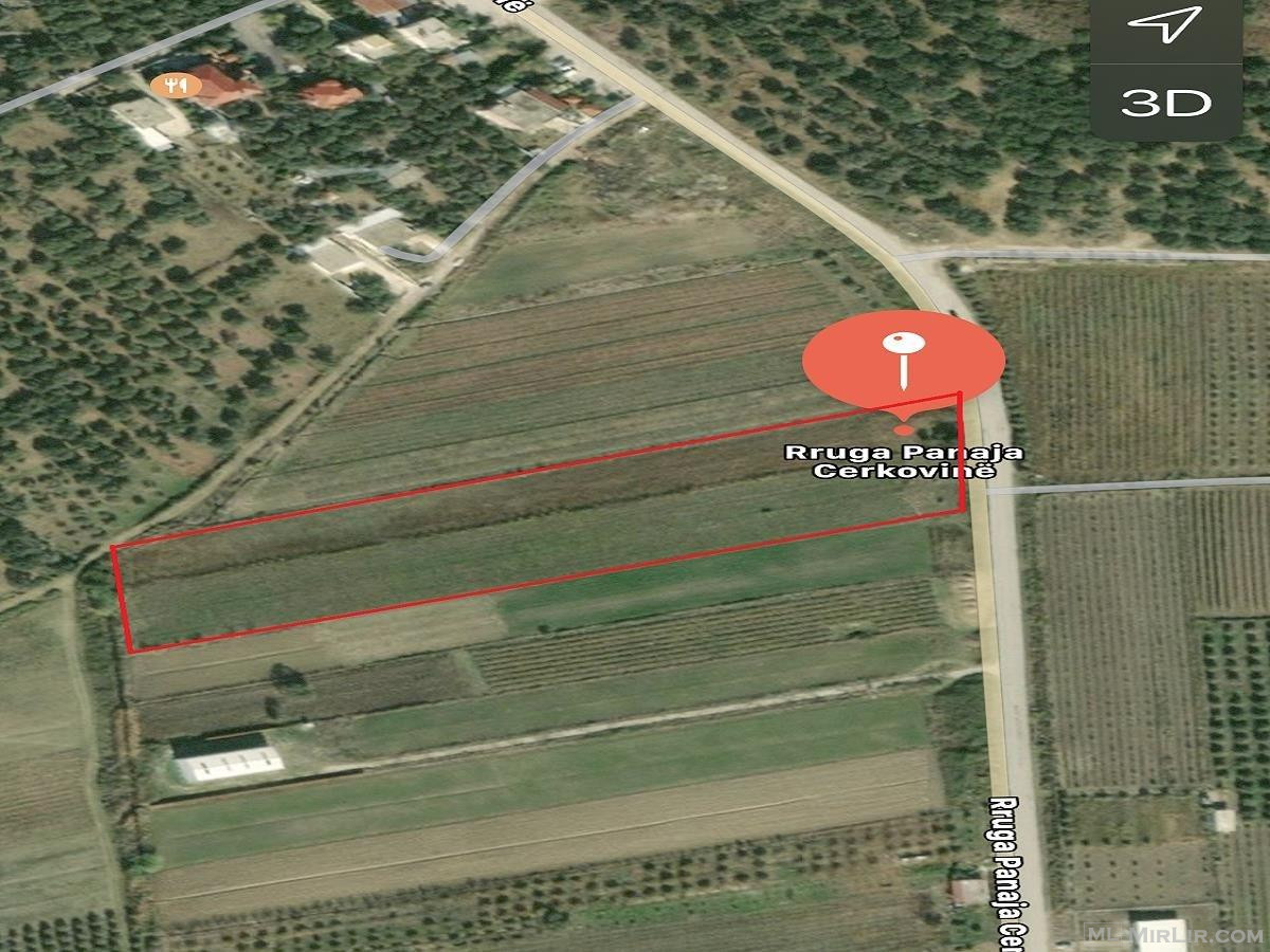 Shitet 1693 m² tokë arë në Mifol, Vlorë