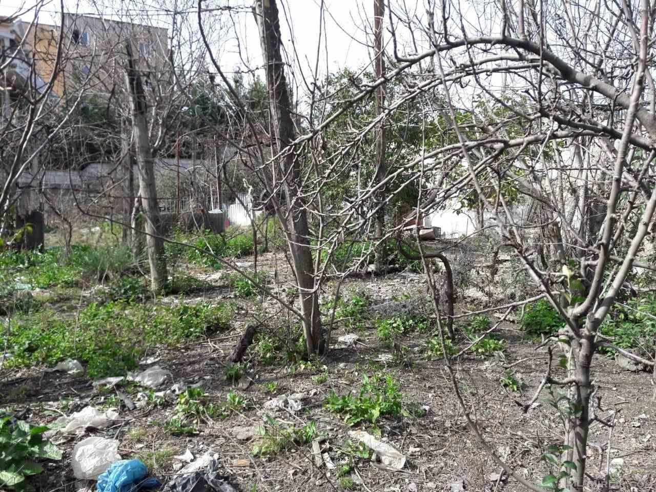 Shitet truall në lagjen 11 Nëntori, Elbasan.