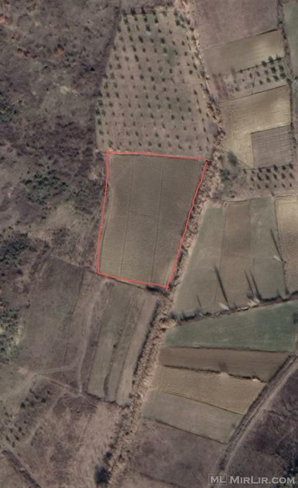 Shitet tokë are 5713 m² në fshatin Tregan , Elbasan . 