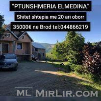 PATUNSHMERIA ELMEDINA 