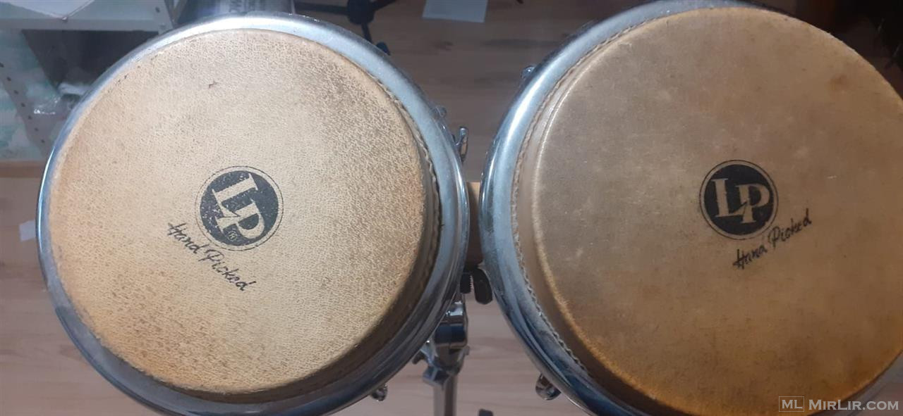 bongo percusion
