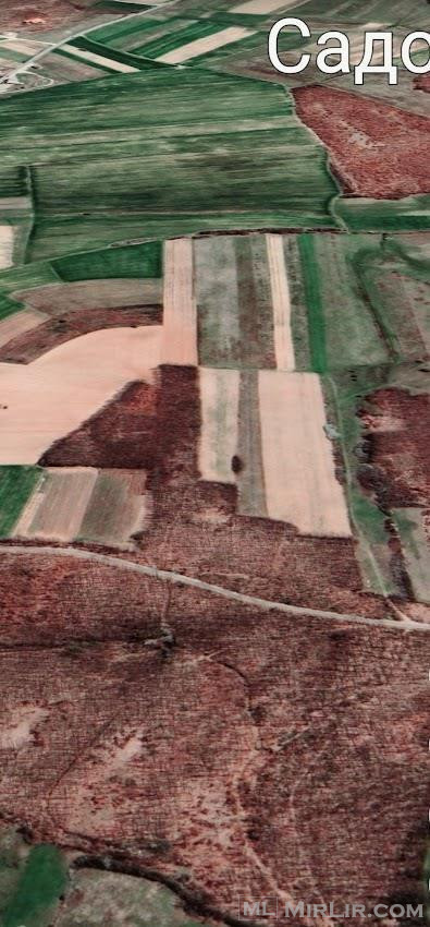 Shiten 1 hektar 25 ari toke ne Begracë te Ferizajt