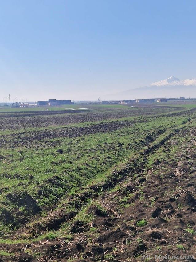 Shiten 1 hektarë e 10 ari tokë afer rruges Janjev-shushic
