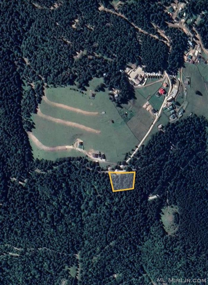 Shitet Toka 40 ari në Leqinat - Rugovë