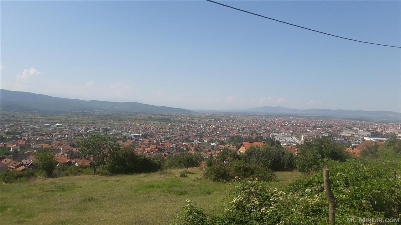 Trualli ne Tusuz, Prizren