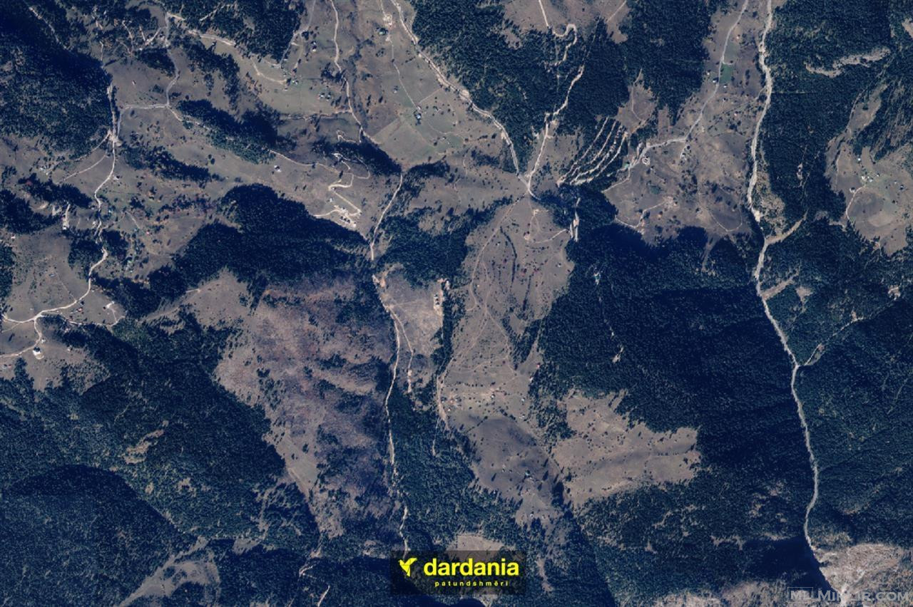Toka në  #SHITJE me sipërfaqe  61.60/Ari  në Koshutan 