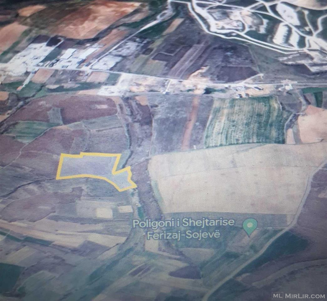 LINA-Shitet Toka 3.5 hektarë ne Sojevë 298/23