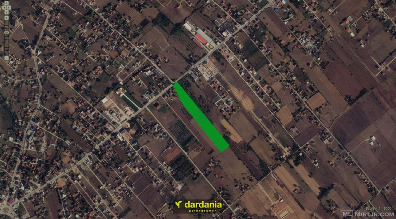 Tokë në #SHITJE me sipërfaqe 2 Hektarë në Vitomericë