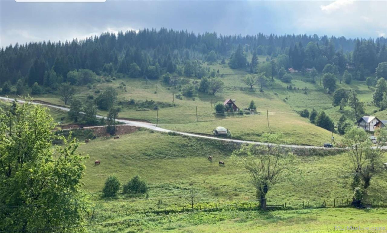 Toka në shitje në Rugovë fshati Shkrel