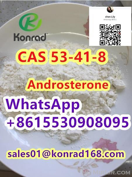Androsterone:CAS 53-41-8