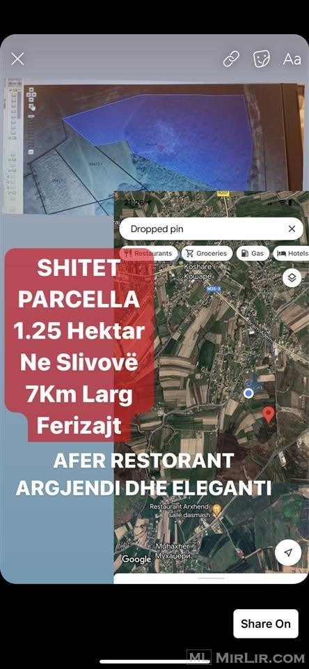 PARCELLA NE SHITJE 1.25 Hektar 