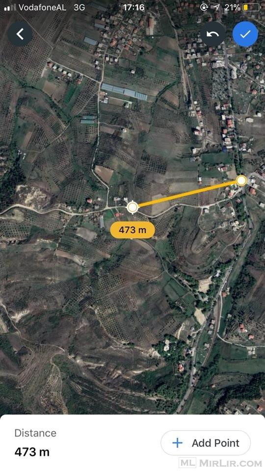 Shitet Toka  473 m larg qafes se koshovices Fier 