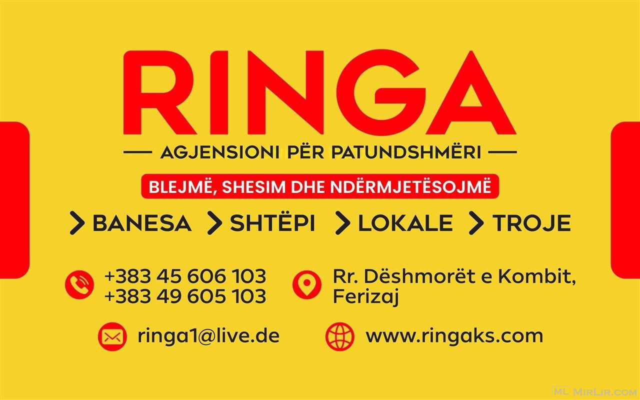 Ringa (Shitet Banesa te Germany Invest)874/23