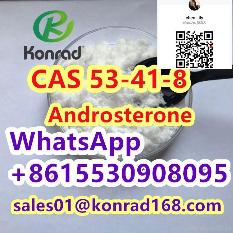 Androsterone:CAS 53-41-8