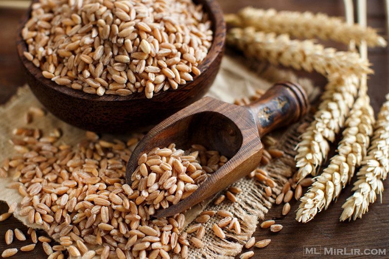 Buy Wheat Grains Wholesale