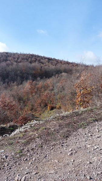 Shitet #parcela në #Dabishec, vetëm 30 km prej #qendres së Prishtinës.  Parcela i ka 568 ari. 
