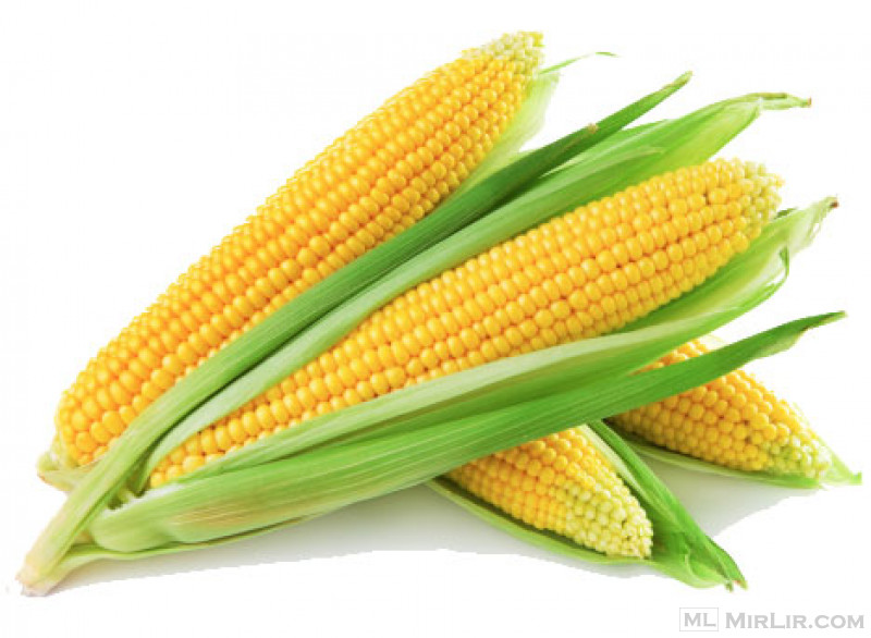 Buy Yellow Corn Maize Wholesale Online,