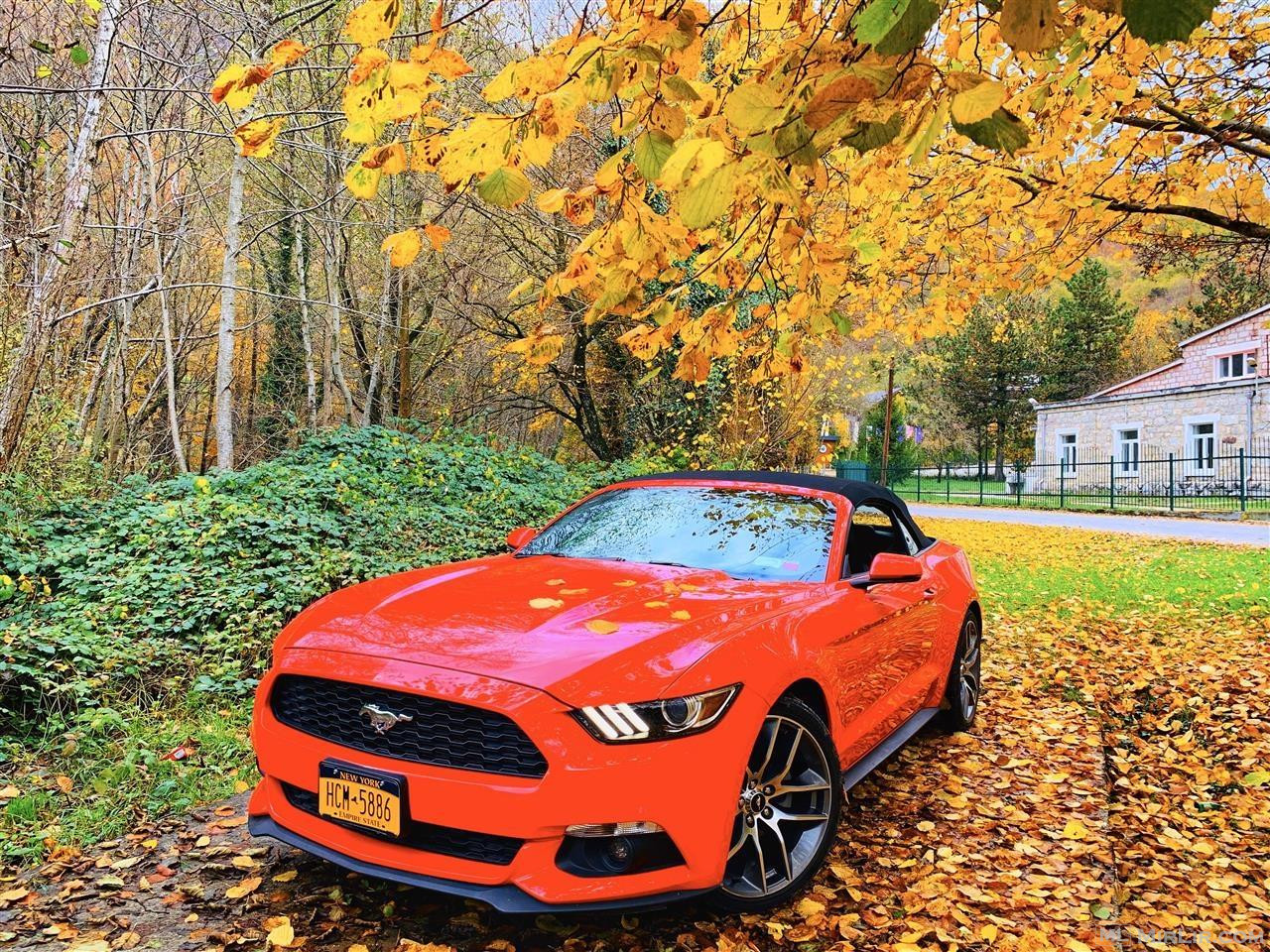 FORD MUSTANG 2.3 317PS ECO BOOST CABRIOLET