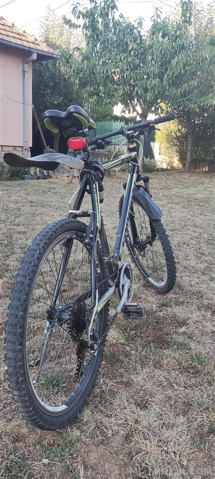 Shitet Bicikleta Capriolo - XL