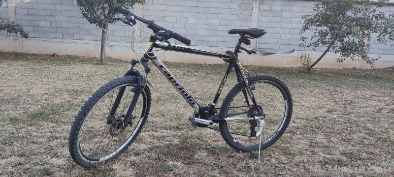 Biciklete Capriolo XL