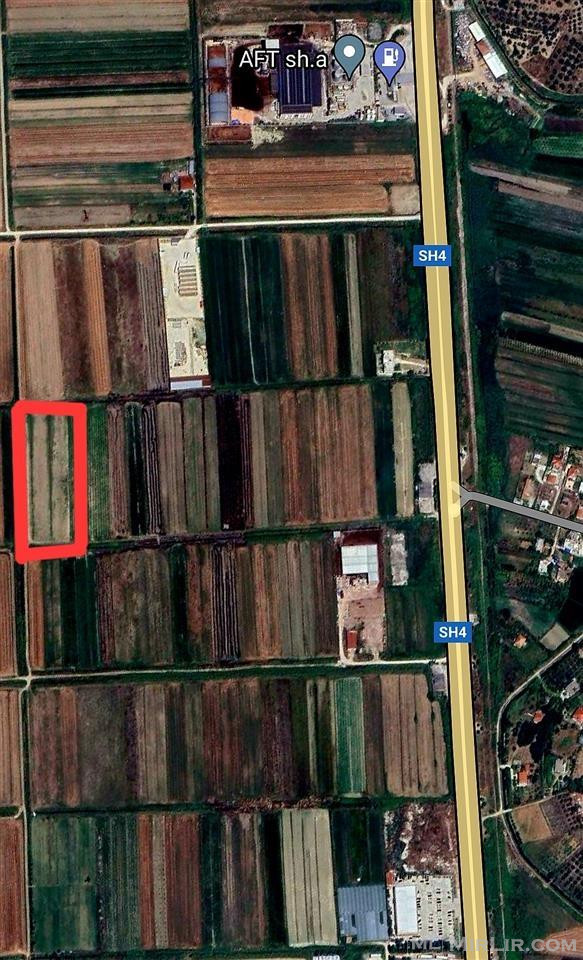 Lushnje - Golem, Shitet Tokë 8,000 m², 135,000 Euro!