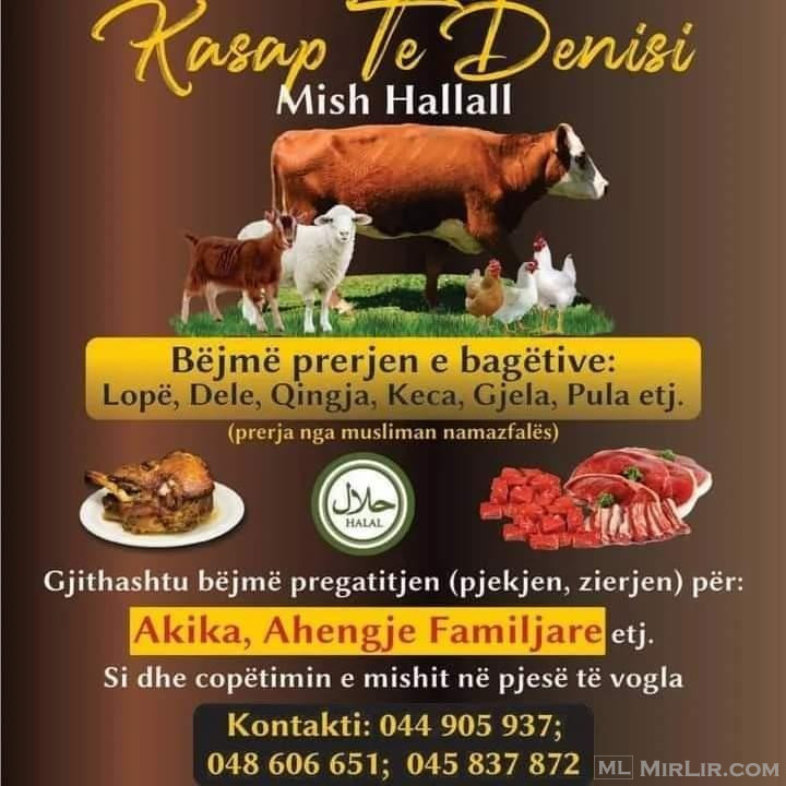 Kasap hallall te denisi