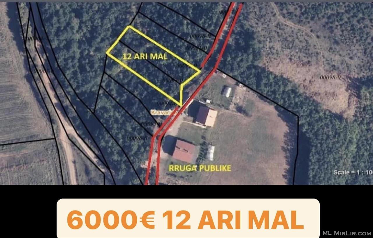 12 ARI MAL - 6000€