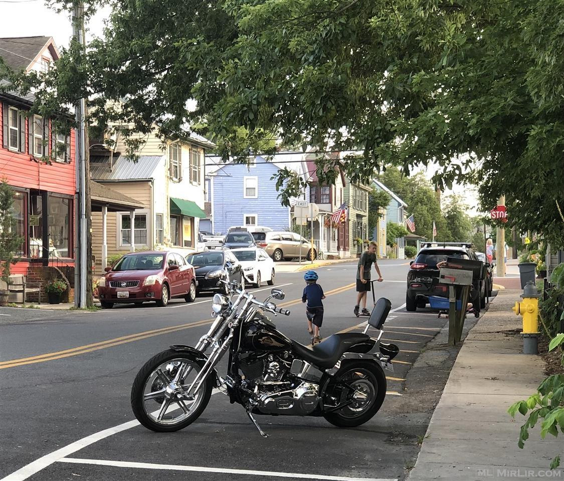 Classic Springer Softail 