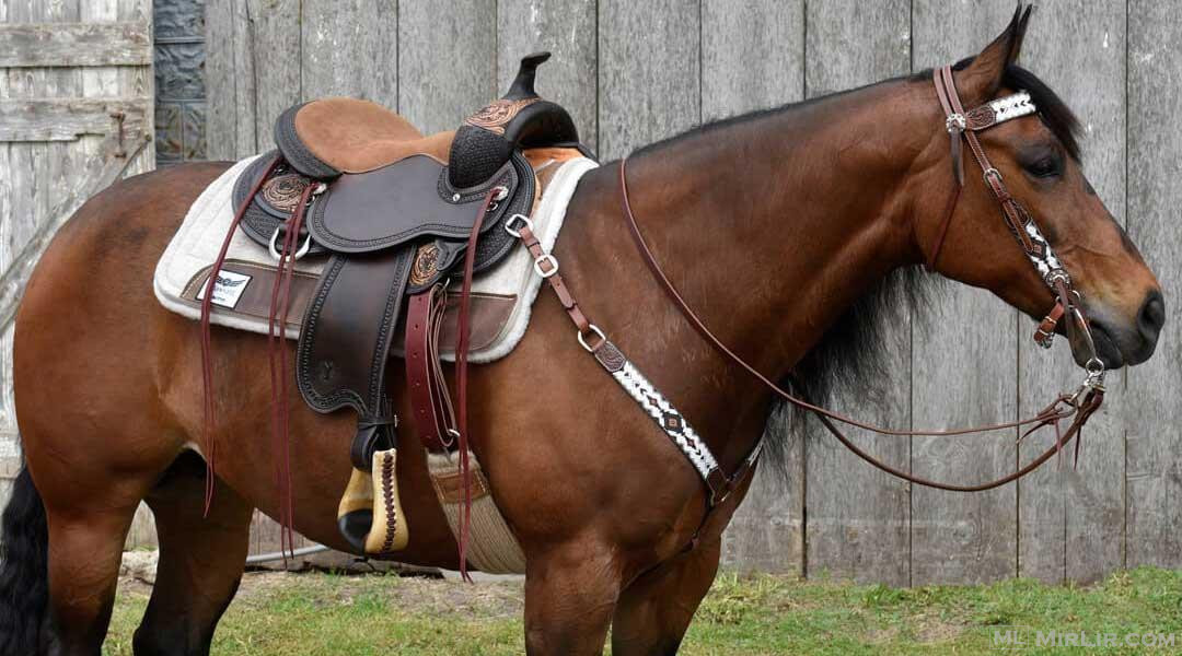 Unveiling the Essence and Excellence of Western Horse Saddle