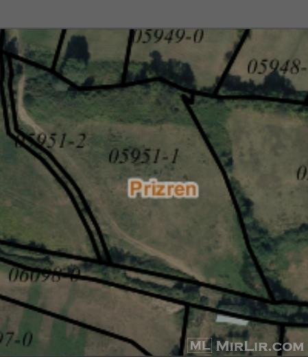 Shitet ne Prizren, toka me siperfaqe 65.65 ari.