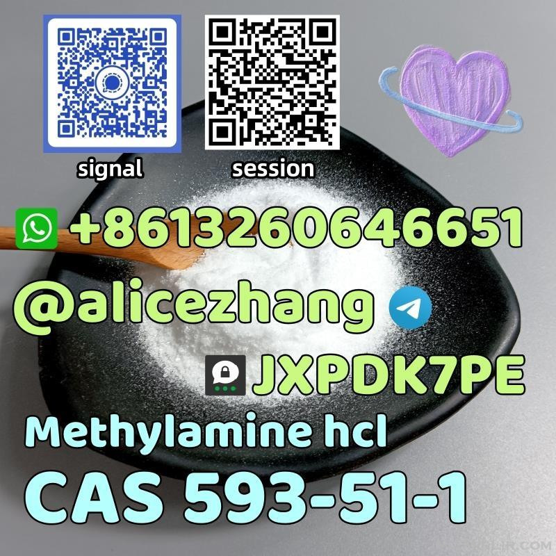 CAS 593-51-1 Methylamine hcl high quality best sell factory 