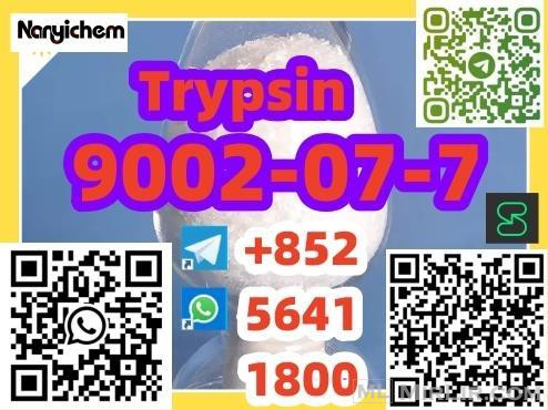 CAS 9002-07-7   Trypsin 