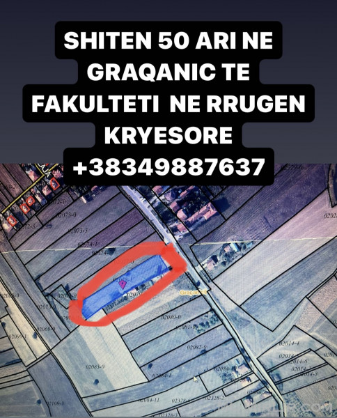 Shiten 50 ari ne Graqanic ne rrugen kryesore