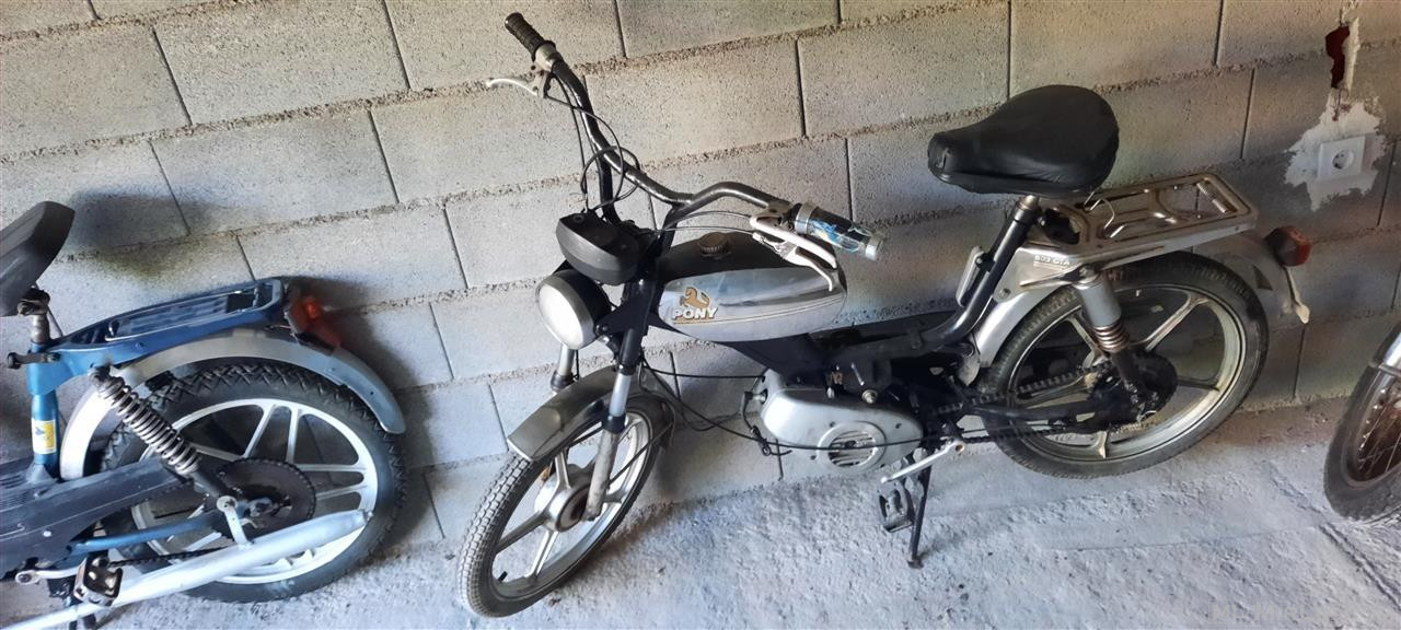 Tomos Sasch 49cc