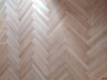 Kompani e Specializuar per Renovime Sherbime